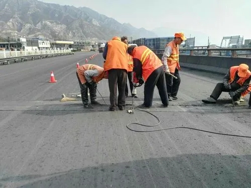 龙湖道路桥梁病害治理